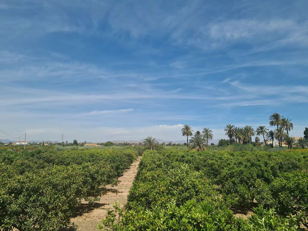 Imagen1agricultura tcm30 653767