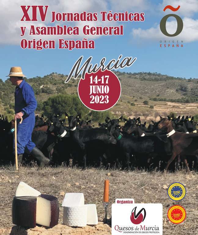 Cartel XIV Origen Murciadef