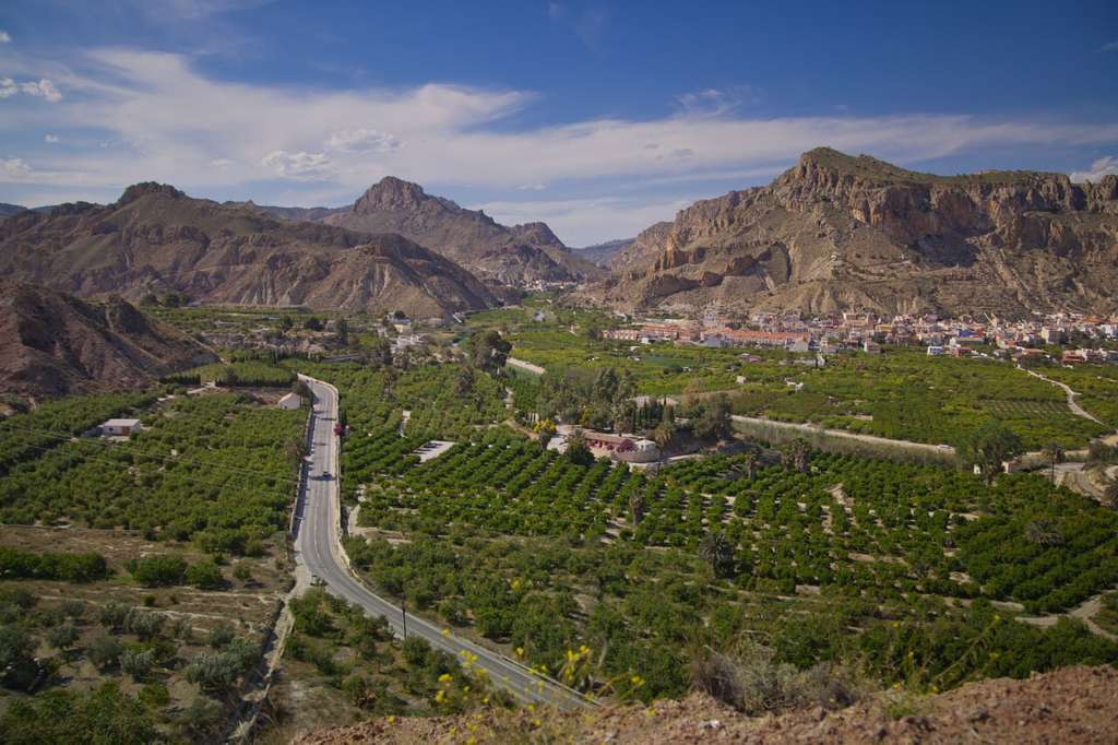 Valle de Ricote parcelas fincas cultivo (Foto CARM)
