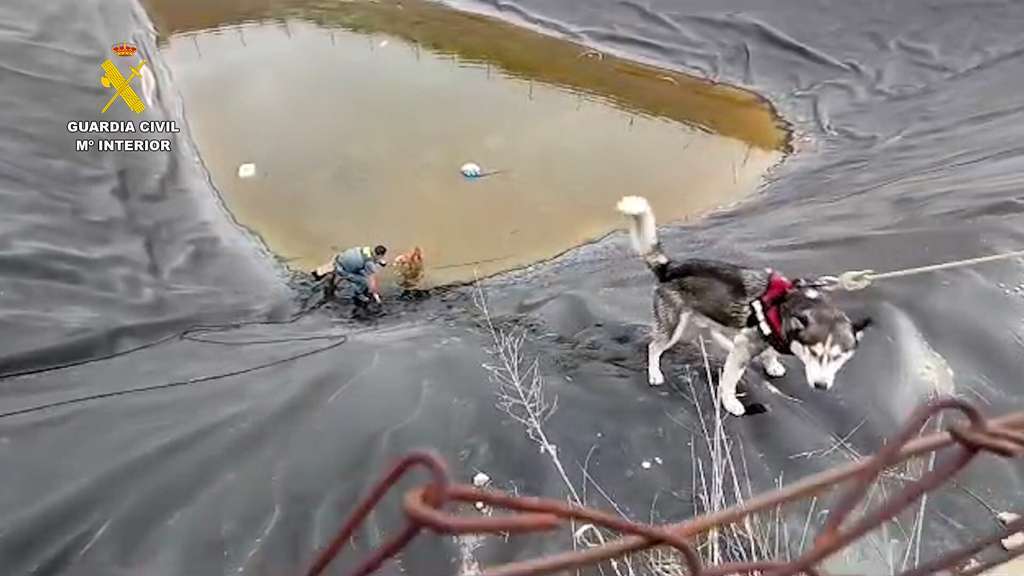 20230628 OP SIMBA RESCATE PERROS BALSA LIBRILLA PPN ALHAMA 06