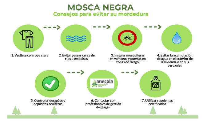 Consejos evitar mordedura mosca negra (Infografu00eda Anecpla)
