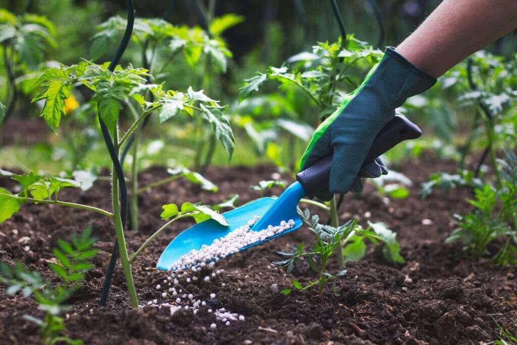 Fertilizantes (Foto web Asociaciu00f3n Internacional de Fabricantes de Fertilizantes)