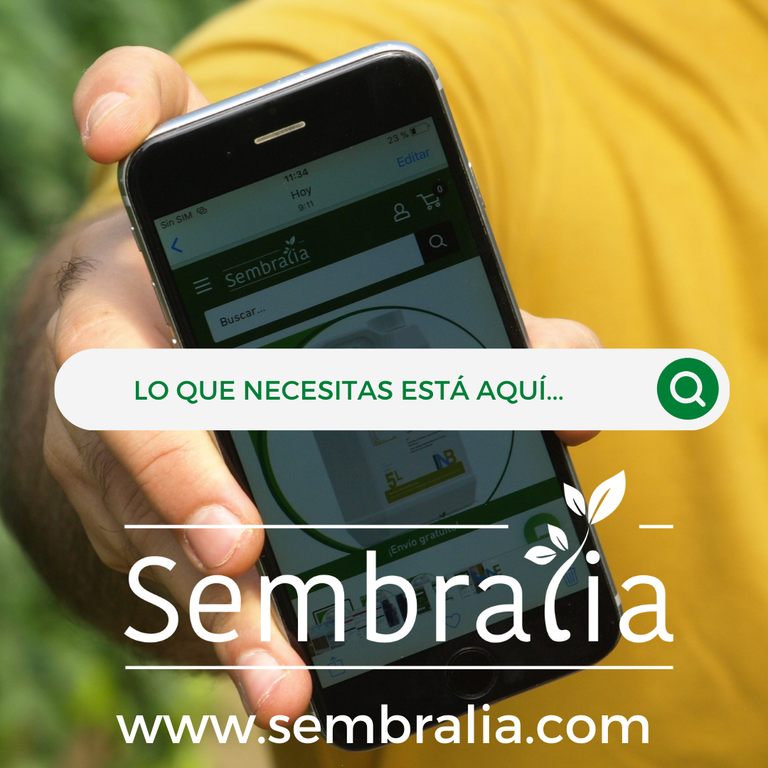 Sembralia   Agrodiario 1
