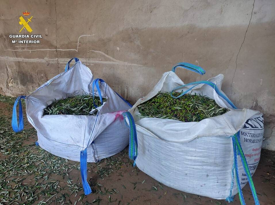 Sacos aceituna robada Torralba de Calatrava Ciudad Real (Foto Guardia Civil)