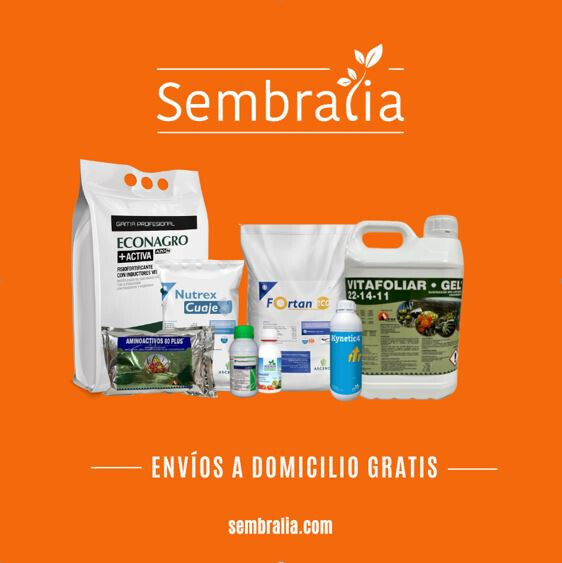 Cartel Sembralia 3