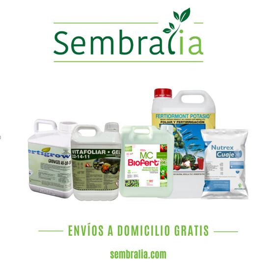 Cartel Sembralia 2