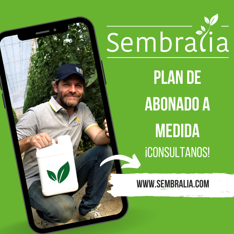 Imagen Sembralia Plan de Abonado
