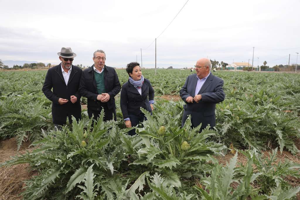 Campaña Alcachofa de la Vega 2023 (Foto FBRRSS Alcachpfa de la Vega)