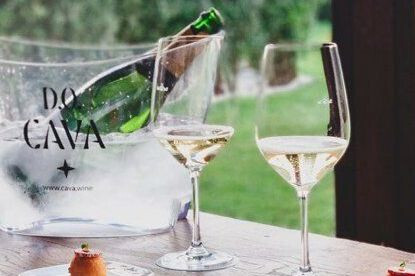 Copas y cubitera Paradores (Foto DO Cava pressweb)