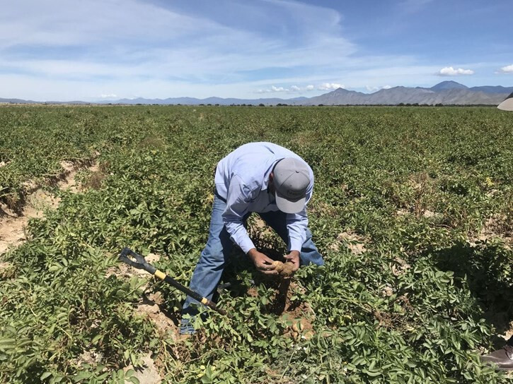 Agricultor en un campo de cultivo (Foto Unión de Uniones UdU)