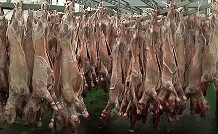Matadero de cordero Soria (Foto Gobierno CyL)
