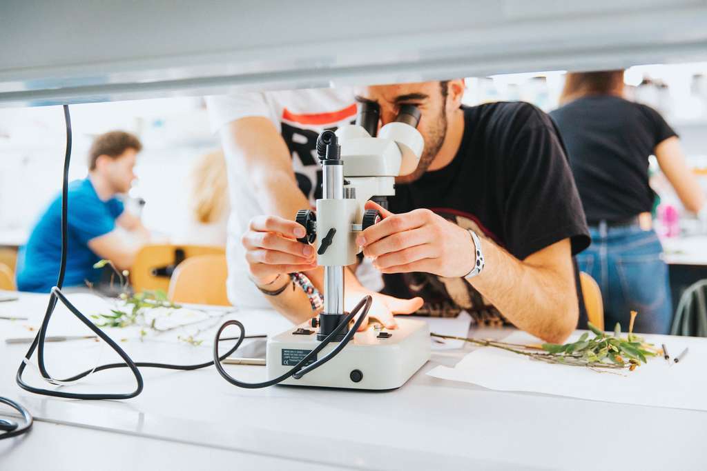 LaboratorioAgru00f3nomos
