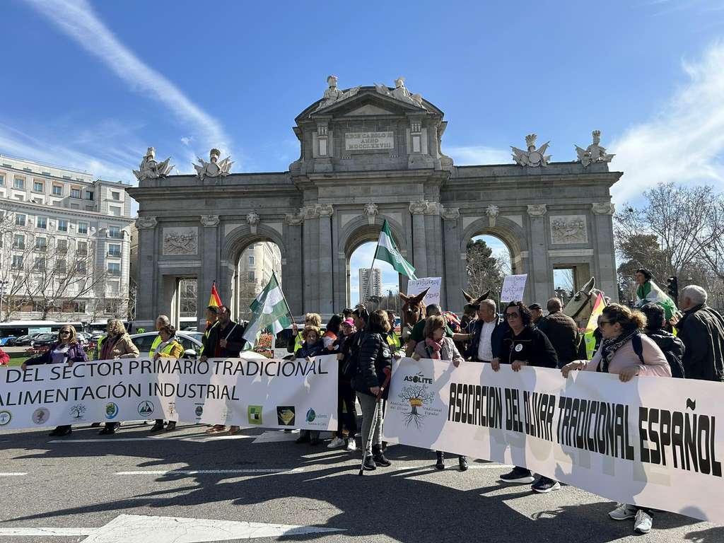 Marcha con burros Madrid 7M (Foto Asolite FBRRSS)