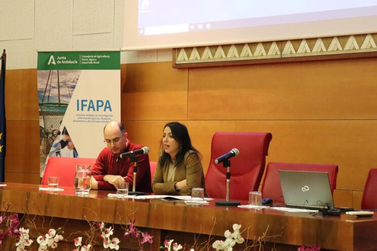 Proyecto sal en aceituna de mesa y azu00facar en conservas (Foto Ifapa)