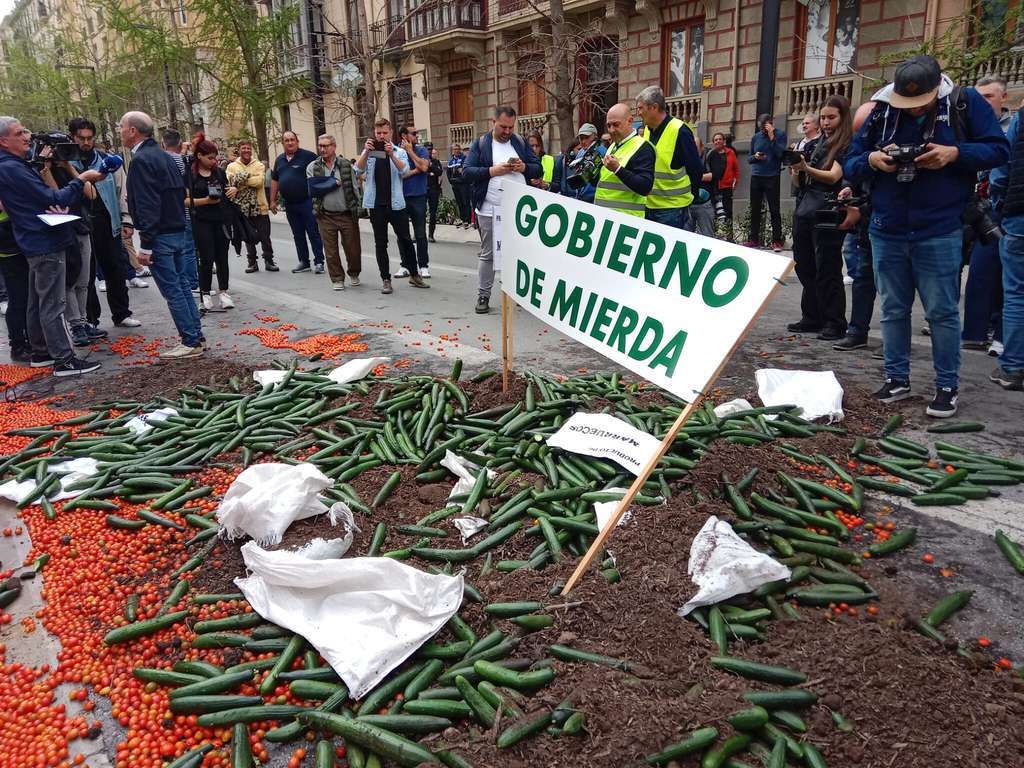 Protesta tierra tomates y calabacines suelo Subdeleg Gob (Foto COAG Granada)