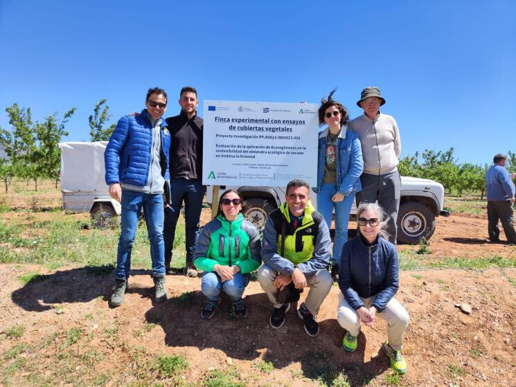 Sotenibilidad almendro secano (Foto Ifapa)