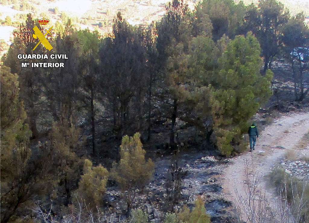 20240502 INVESTIGADO INCENDIO FORESTAL PPN LORCA 02
