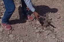 Uva de mesa moscatel sequía detalle (Foto La Unió)