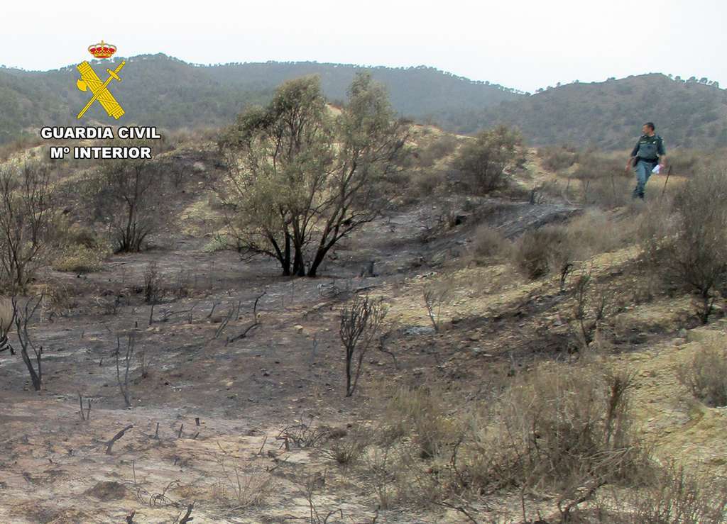 20240531 INVESTIGACION INCENDIO PPN LORCA 05