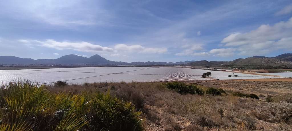 acuífero Andaluciense Campo de Cartagena (Foto CHS)