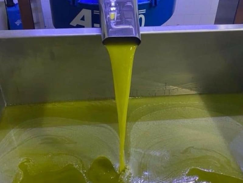 Chorro de aceite de oliva en una almazara (Foto COAG Jaén)