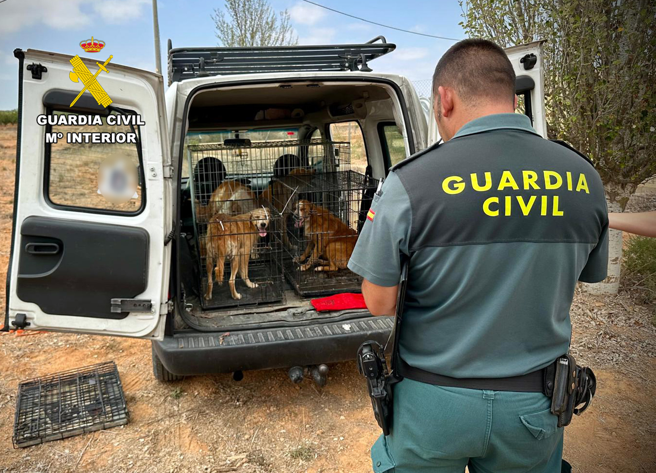Operación Vida en Mula y Pliego contra el abandono animal y rescate de 30 perros (Foto Guardia Civil)