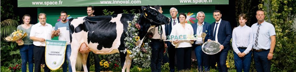 Galardonados del Campeonato Supremo 2024 (Foto Space)