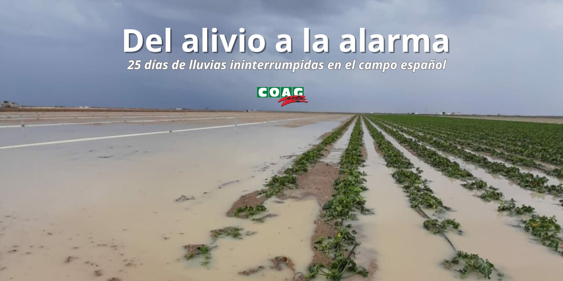 Campo inundado por las lluvias (Foto COAG)