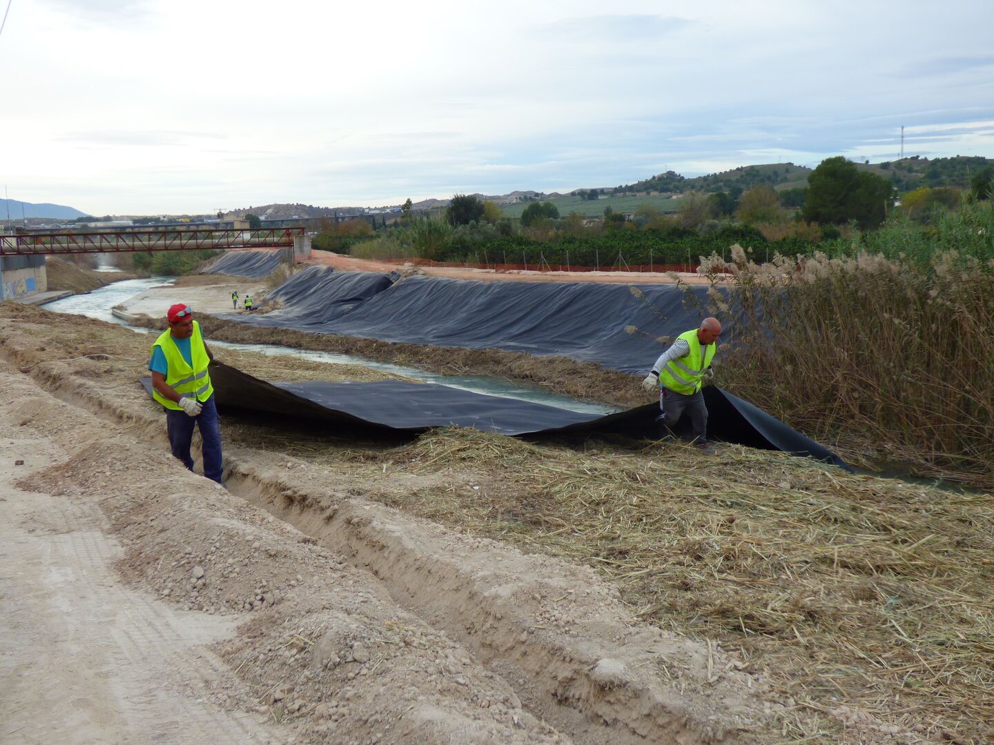 Lámina en el margen del río tras la gestión de cañaverales (Foto CHS)