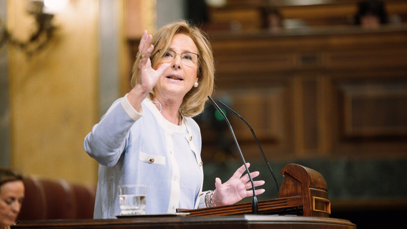 Lourdes Méndez Monasterio en su turno de palabra en el Congreso de los Diputados (Foto Vox)