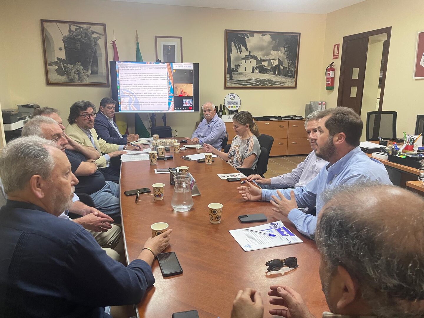 Pleno extraordinario para abordar la afectación por Mildium (Foto Consejo Regulador de la DOP Condado de Huelva)