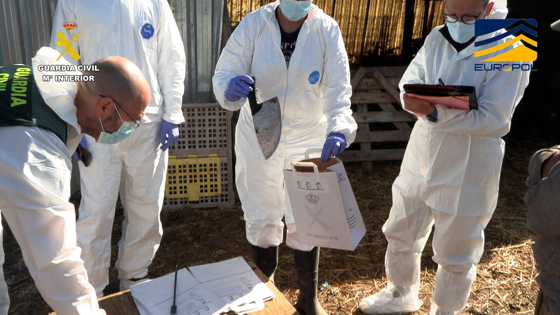 Operación Pox de desmantelamiento de una red dedicada a la comercialización ilegal de productos cárnicos sin control sanitario (Foto Guardia Civil)