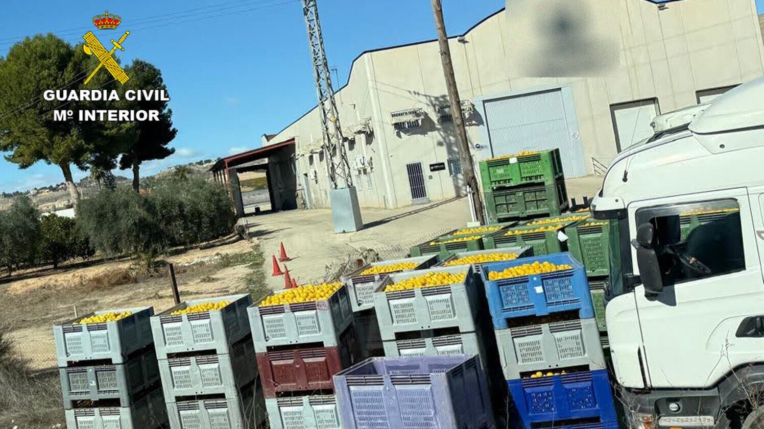Operación 'Hot lemon' contra el fraude de limón ecológico (Foto Guardia Civil)