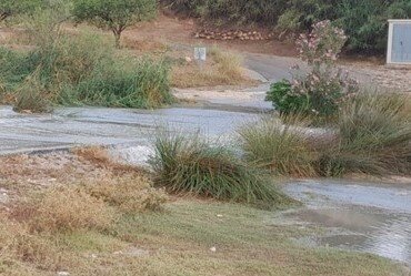 Cauce tras lluvias en la cuenca del Segura (Foto CHS)