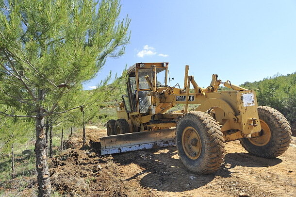 Actuaciones del proyecto europeo FLoRE que se centran en recuperar antiguos cultivos, realizadas en Calasparra (Foto CARM)
