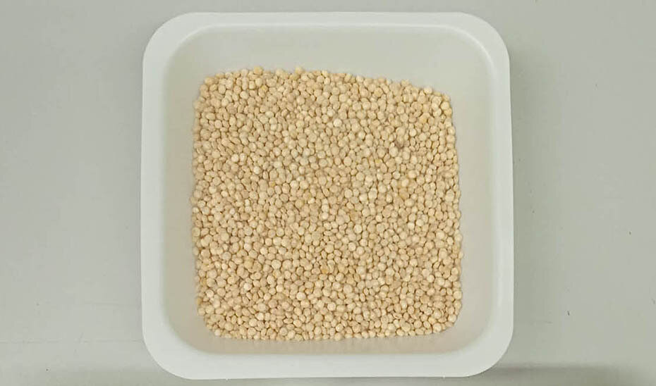 Semillas de quinoa (Foto Junta de Andalucía)