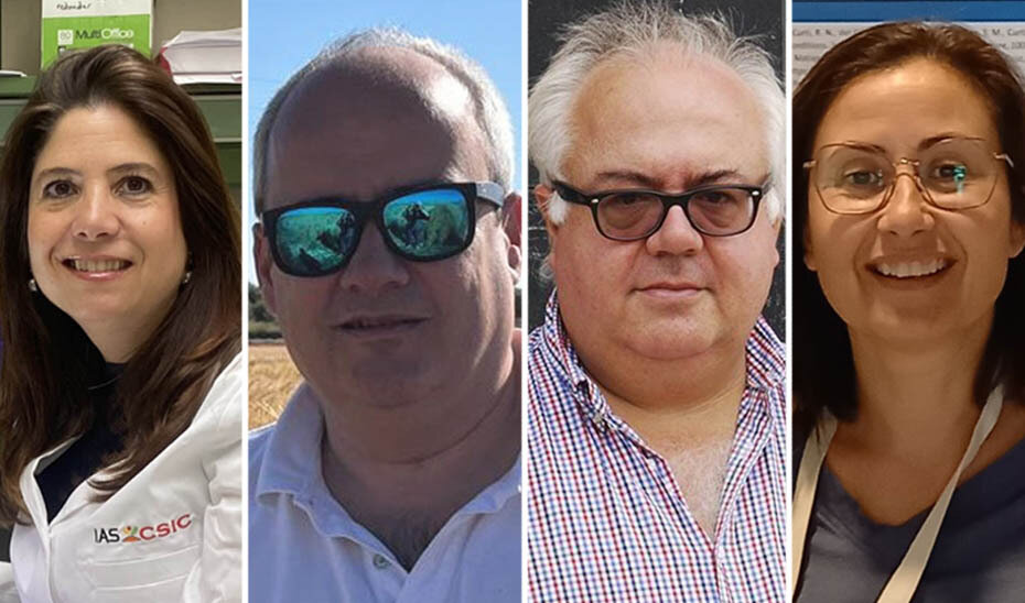 De izquierda a derecha, el equipo investigador: Sara Fondevilla, Javier Matías, Lonardo Velasco y Verónica Cruz (Foto Junta de Andalucía)
