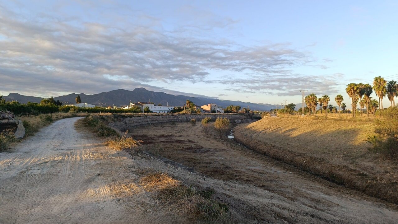 trabajos de desbroce del cauce del canal del Reguerón en Beniaján (Foto CHS)