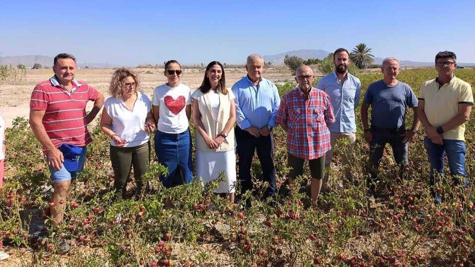 La consejera en una finca donde se cultiva pimiento para la elaboración de pimentón (Foto CARM)
