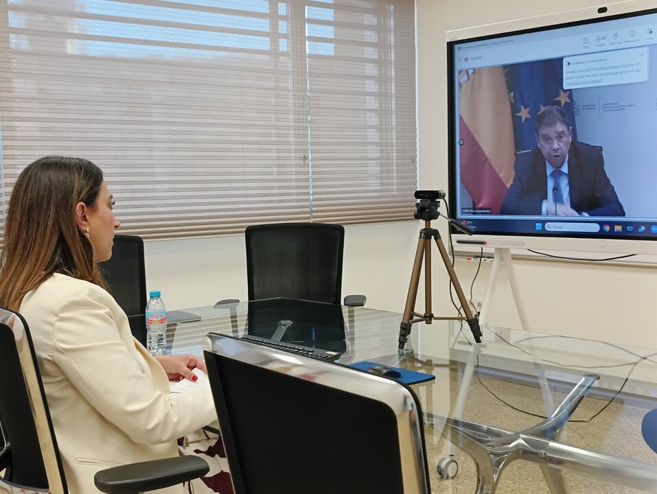 Rubira en la reunión de la Conferencia Sectorial de Agricultura y Desarrollo Rural y los Consejos Consultivos de Política Agraria y Política Pesquera para Asuntos Comunitarios, celebrada por videoconferencia (Foto CARM)