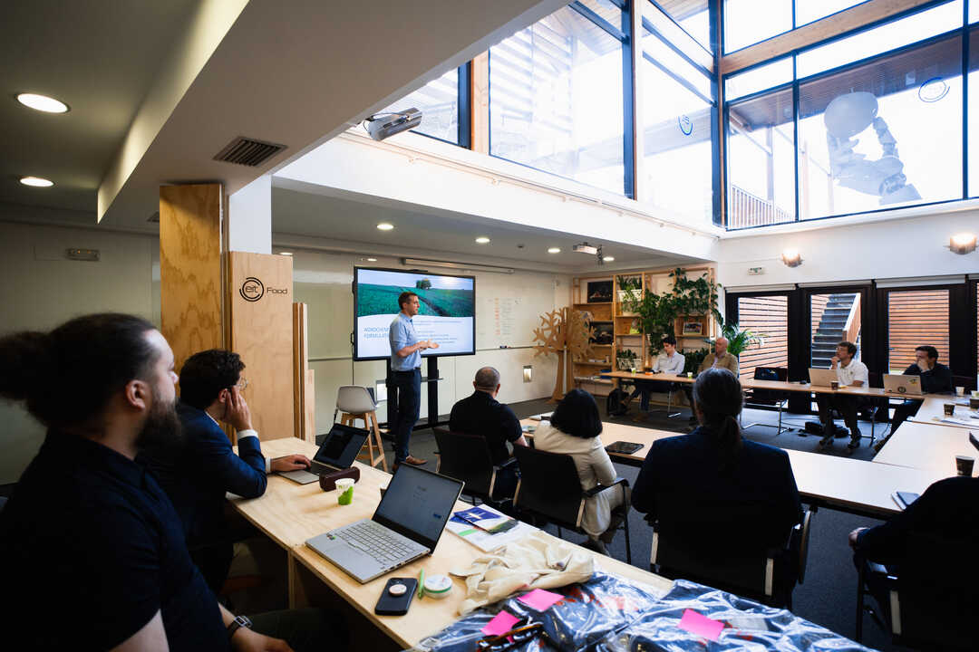 Proyecto ‘Regenerative Innovation Portfolio: Navarra 360º’