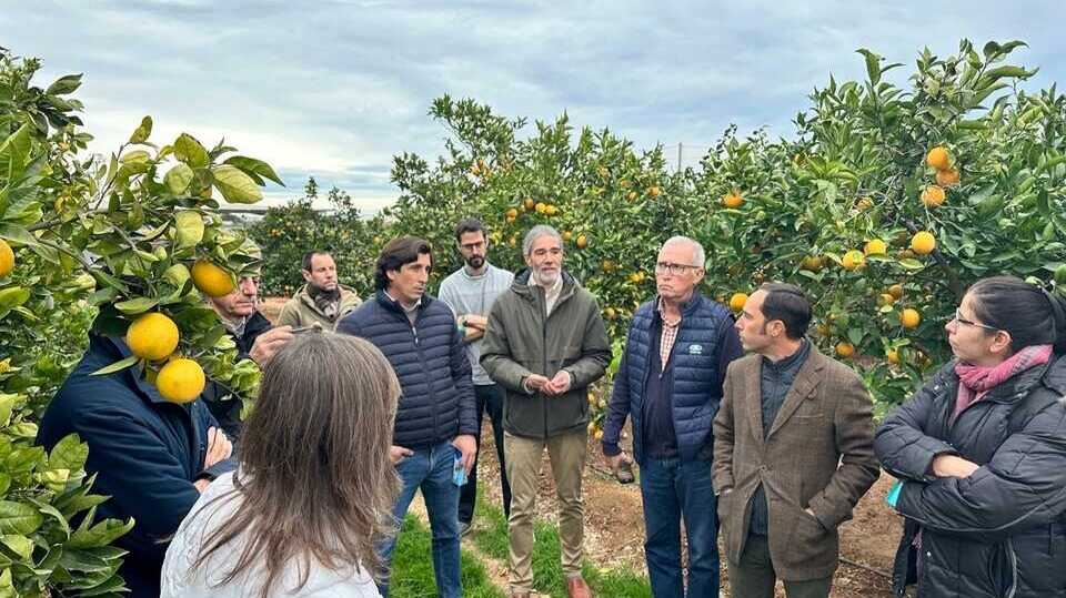 Presentación en el Centro de Experiencias Agrarias de Anecoop los resultados del proyecto Agrisme II (Foto AINIA)