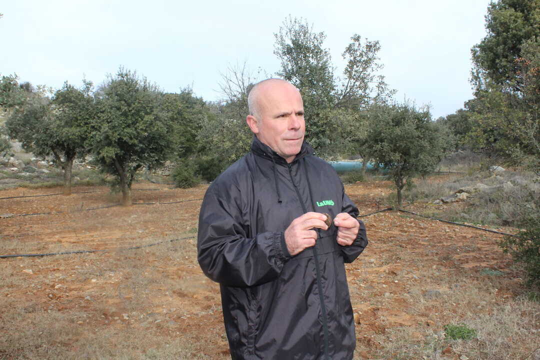 Carles Peris en una explotación trufera (Foto La Unió)