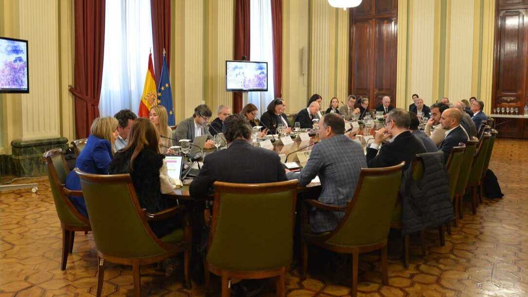 Reunión de la mesa sectorial del porcino (Foto MAPA)