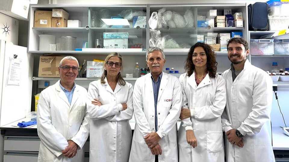 Investigadores participantes en el estudio (Foto Cebas-CSIC)