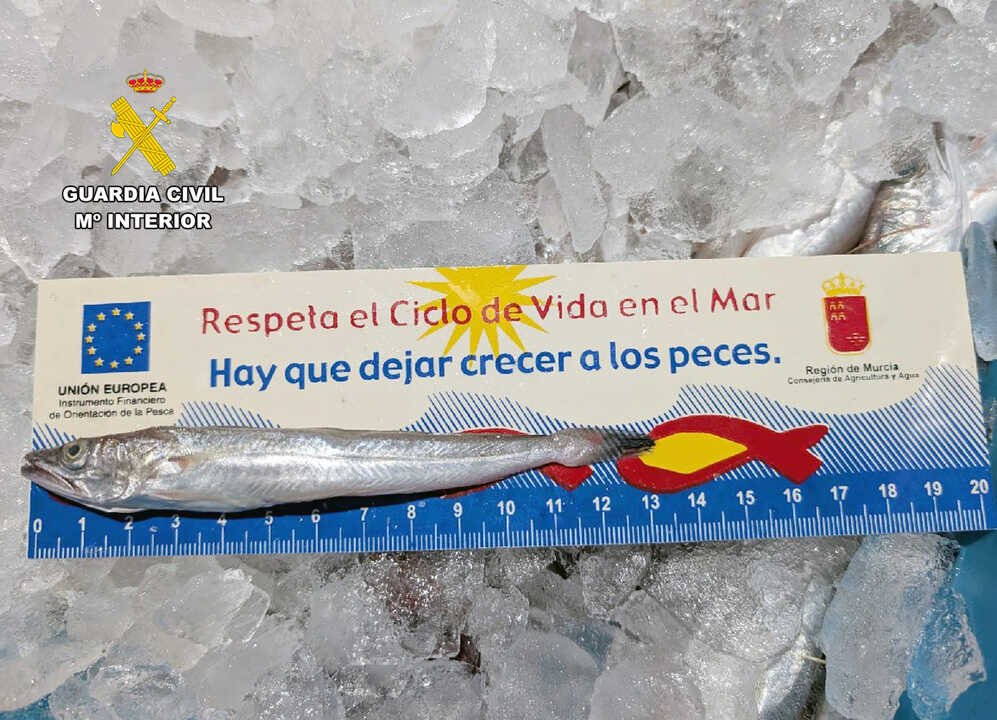 Infracciones de pesca detectadas por el Seprona (Foto Guardia Civil)