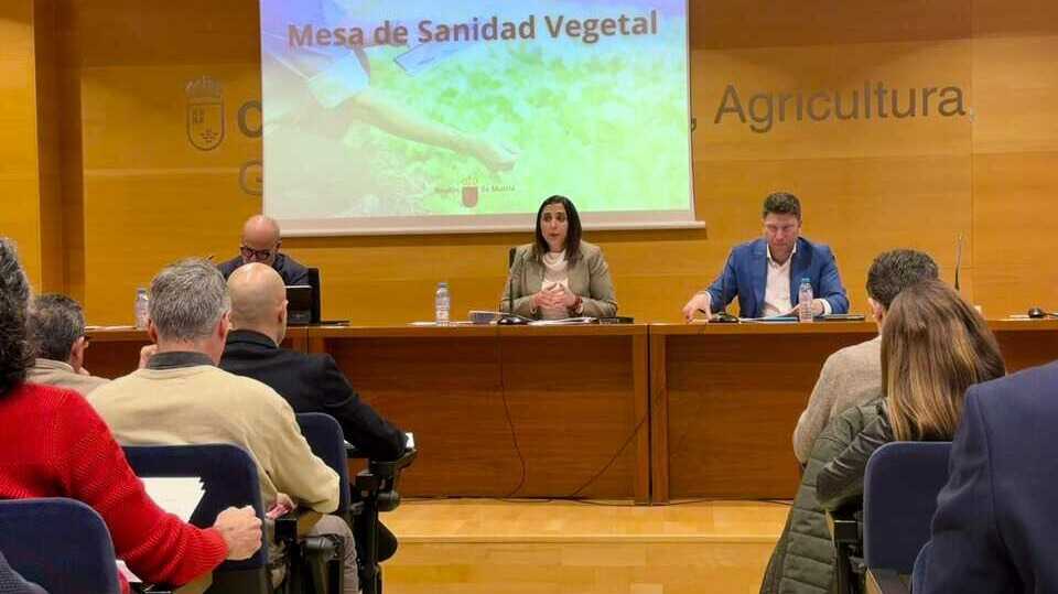Sara Rubira durante la reunión de la Mesa de Sanidad Vegetal (Foto CARM)