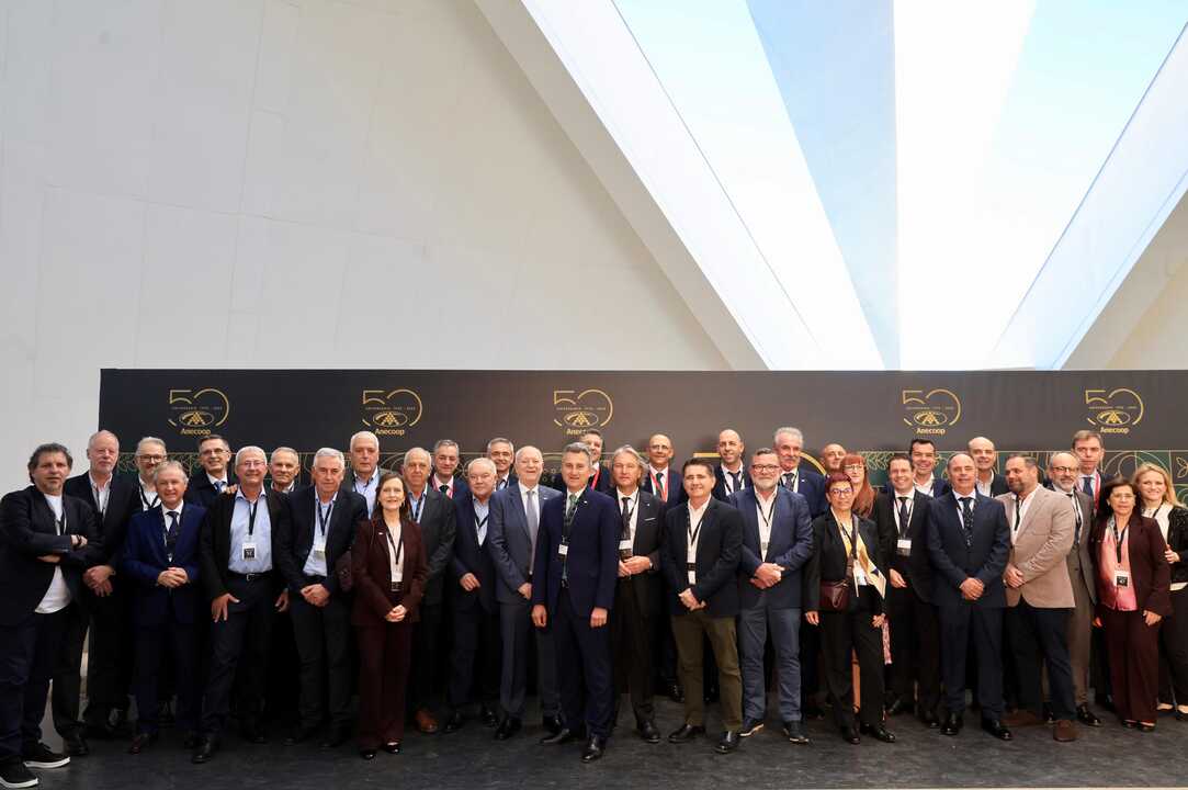 Consejo Rector y Comité de Dirección de Anecoop (Foto Anecoop)