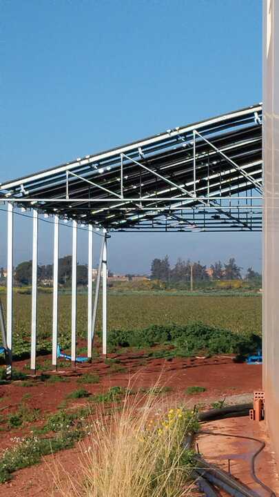 Estructura agrovoltaica desarrollada por la UPCT (Foto UPCT)